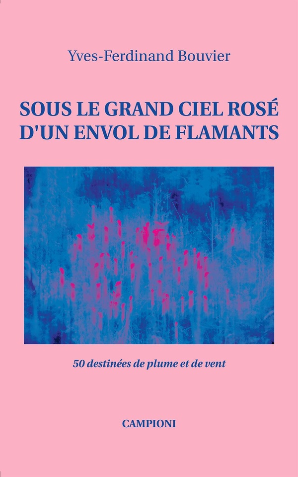 Sous le grand ciel rosé d’un envol de flamants