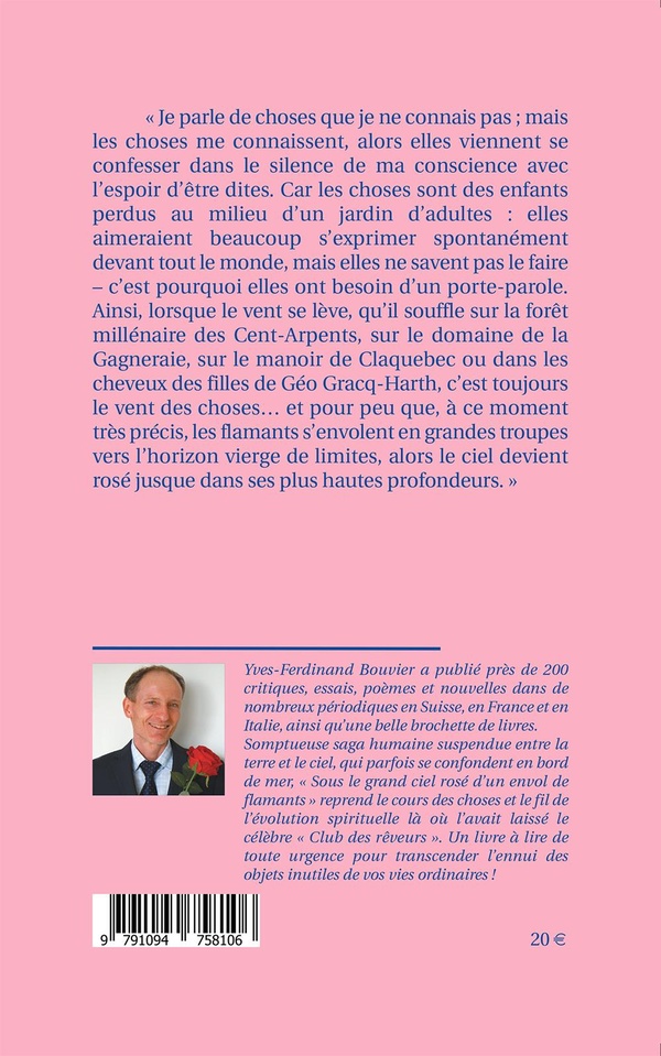 Sous le grand ciel rosé d’un envol de flamants